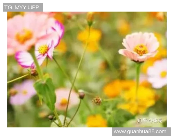 你不知道的伤病名单：十大冷知识大揭秘