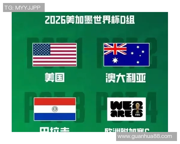 足球世界杯东道主备战进展及全球球迷热切期待分析 足球世界杯东道主备战进展及全球球迷热切期待分析